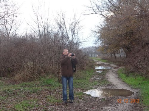 Рождественский парк